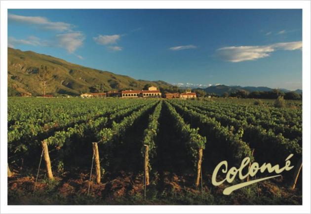 Estancia Colome Molinos Exterior photo
