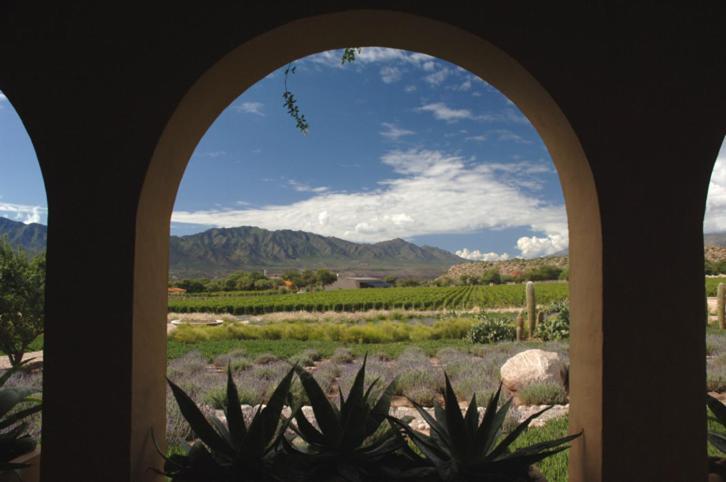 Estancia Colome Molinos Exterior photo
